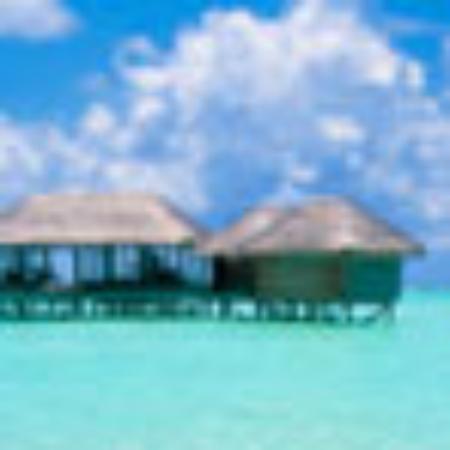 Rakhi Chinese & Indian Fast Food Centre